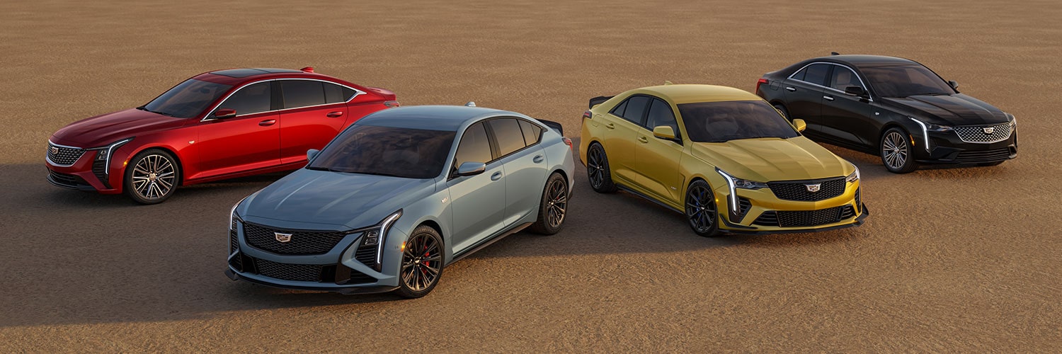 A Row of Cadillac Sedans and SUVs in Different Colors Parked on a Desert Road at Sunset