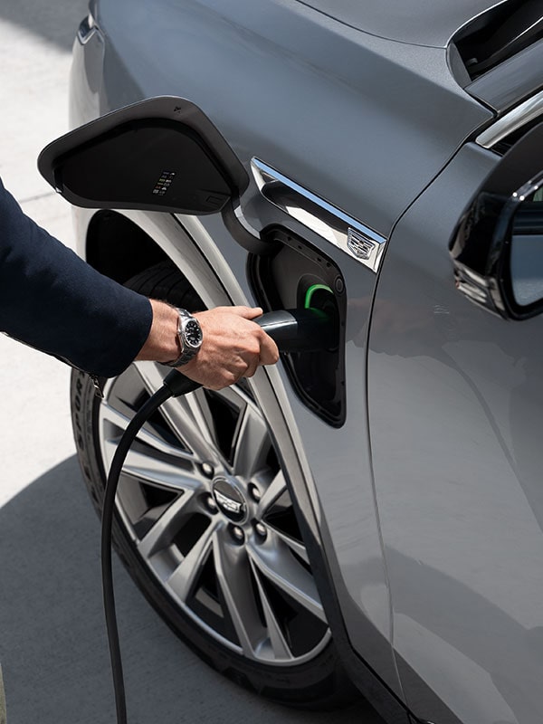 Close-up of Someone Inserting the EV Charger into a VISTIQ's Charging Port