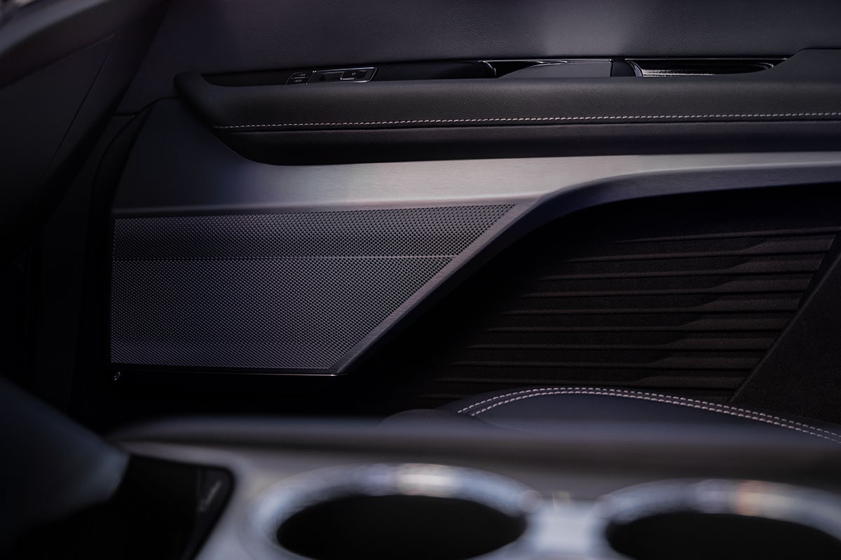 Close-up of the 2027 VISTIQ Interior Door Details and Speaker