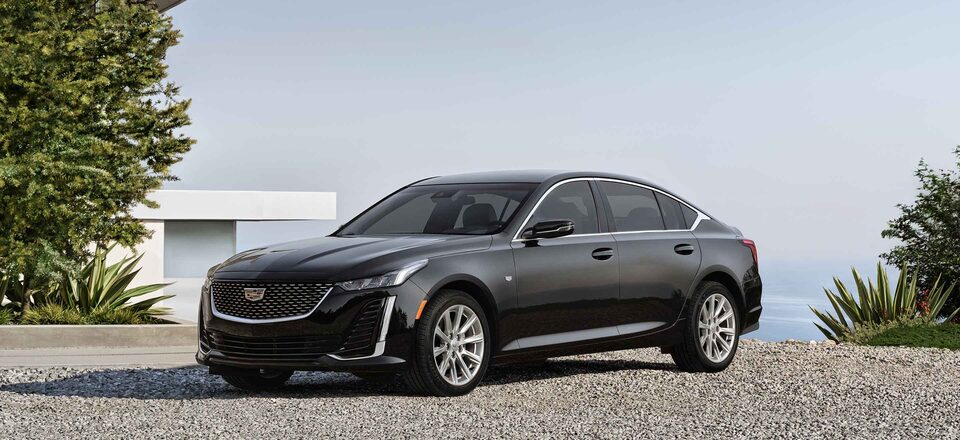 Cadillac CT6 Sedan: user guidelines