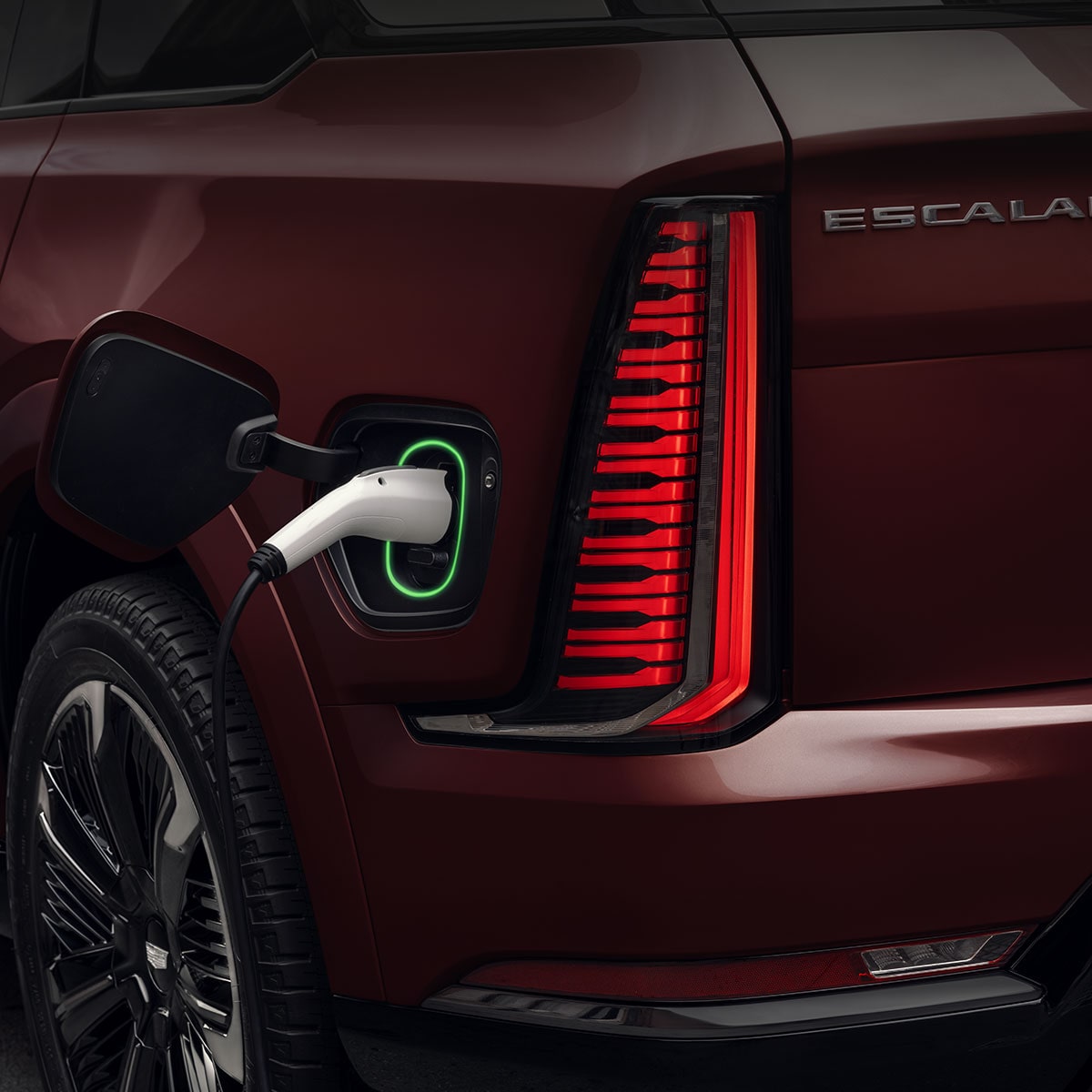 Close-up of the Illuminated Cadillac Crest on a Vehicle's Grille