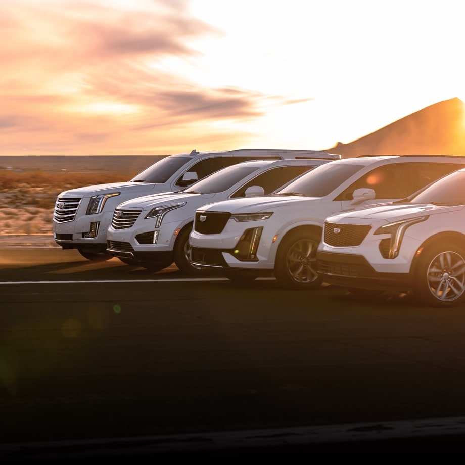 Hunter Prestige Motor Group Impremedia Net