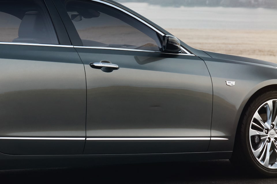 Cadillac Protection Typical Dents and Scratches
