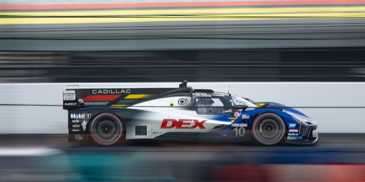 A Cadillac Racing Team Member Approaches a Crowd of Spectators Along a Barrier During a Motorsports Event.