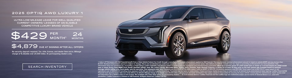 2025 optiq