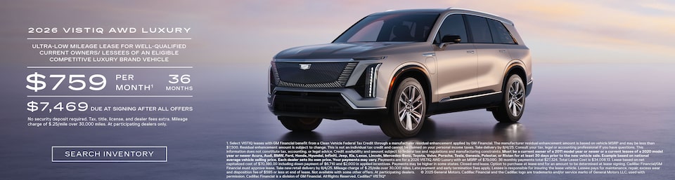 2025 vistiq