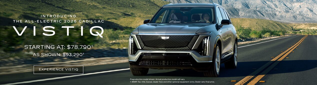 2025 vistiq