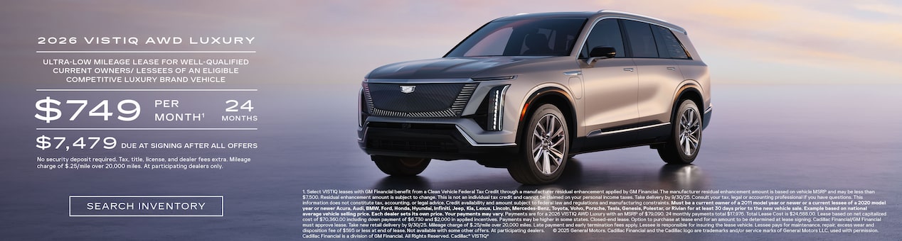 2025 optiq