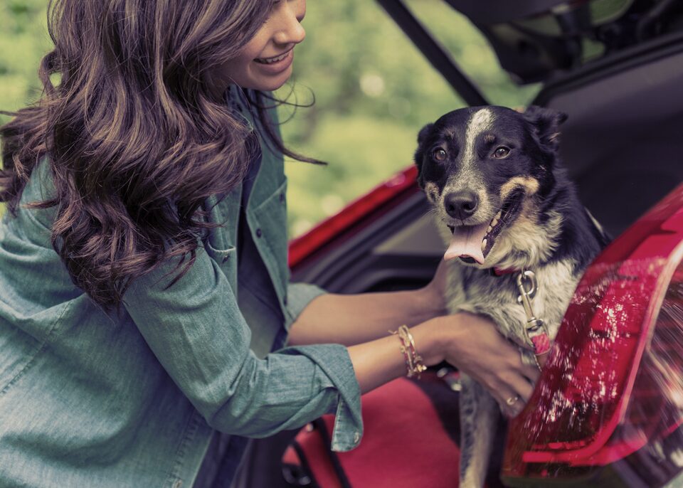 Cadillac GM Family First Discount Program: woman with dog in hatch back
