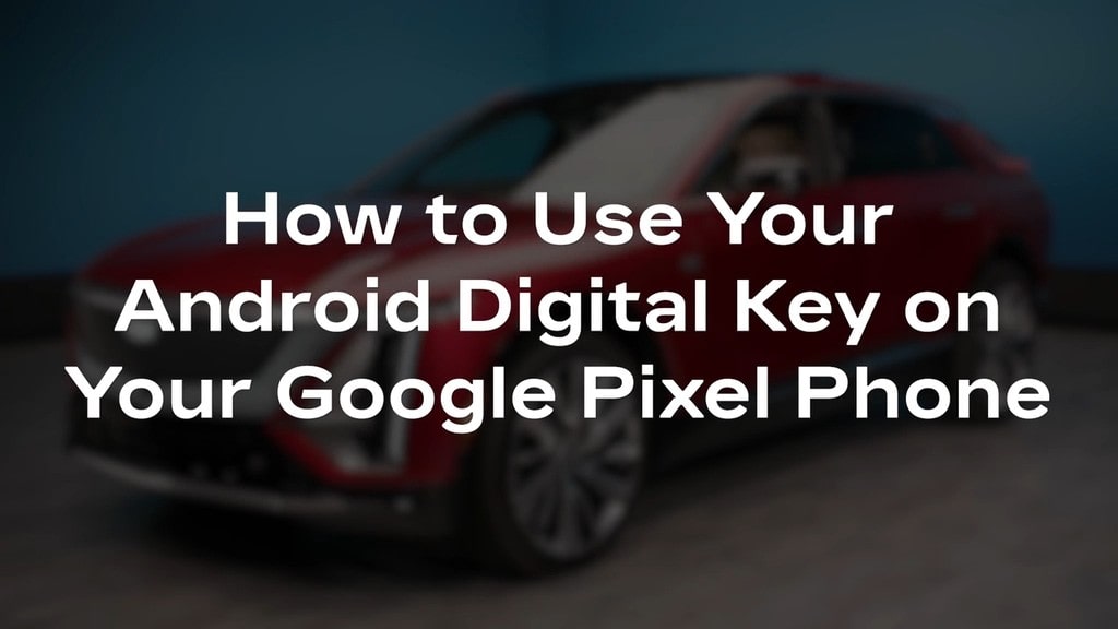 google pixel phone