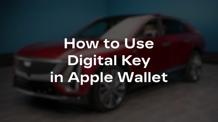 apple wallet