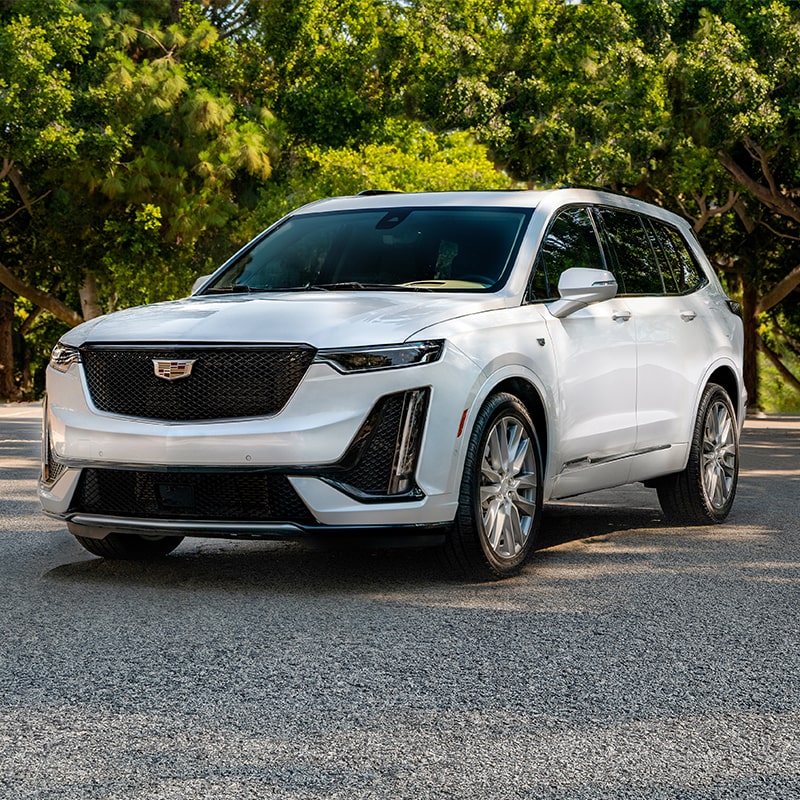 Crystal White Tricoat Cadillac XT6 Parked in the Woods