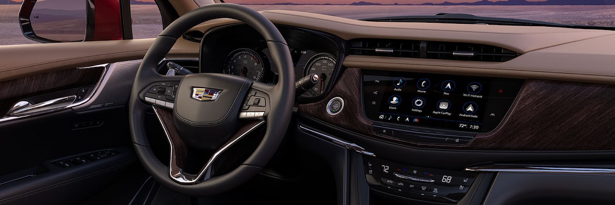 Female Driver Holding Her Steering Wheel While Looking at Her Cluster Display