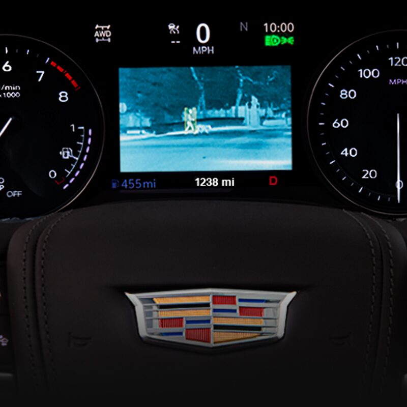 A Female Driver Holding Her Steering Wheel While Looking at Her Cluster Display