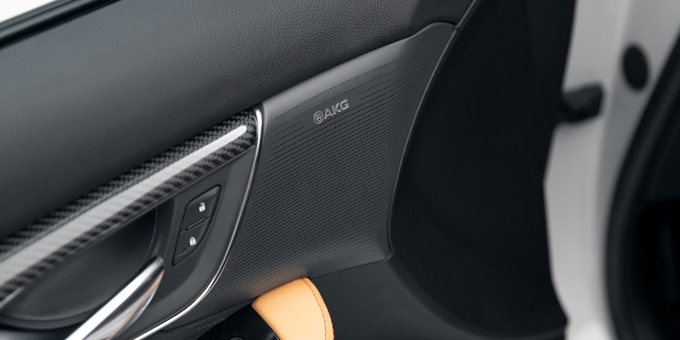 AKG Speaker up close