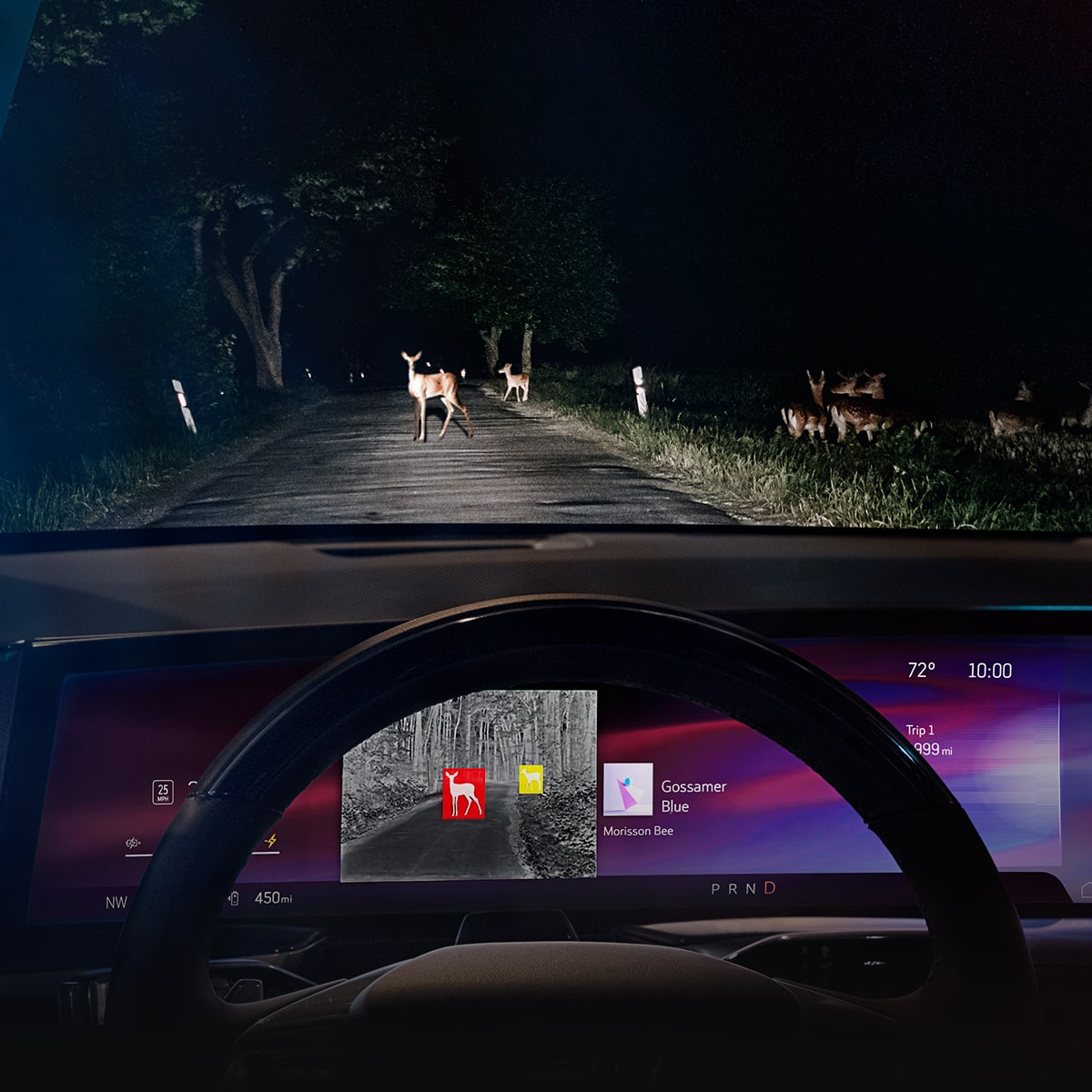 Uso de la función de visión nocturna de Escalade 2025 circulando por un camino oscuro