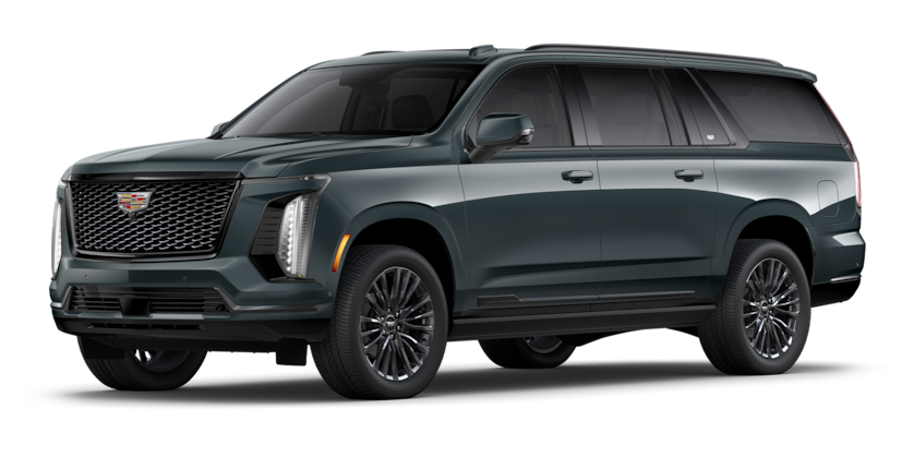 Cadillac Escalade ESV Black - Topling Temba LLC