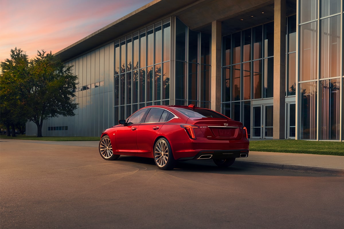 Sol resplandeciente sobre el blasón del Cadillac CT5 2025 en los asientos delanteros de piel y vista del techo corredizo