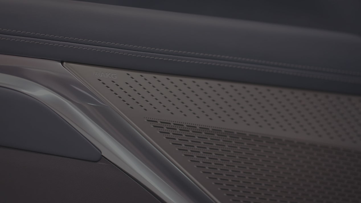 Close-up of the AKG Speakers in the 2026 Escalade