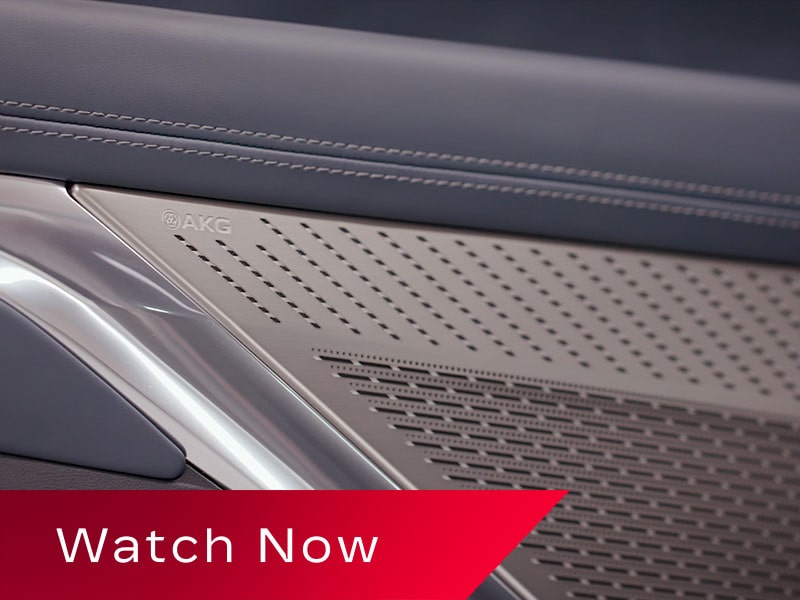 Close-up of the AKG Speakers in the 2026 Escalade