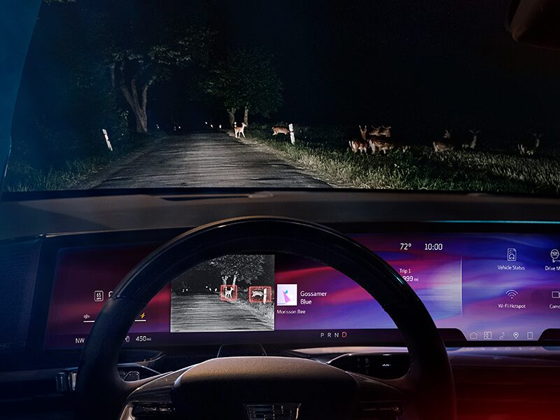 Night Vision of the 2025 Cadillac ESCALADE IQ Capturing Deer on the Road in Front of the Vehicle