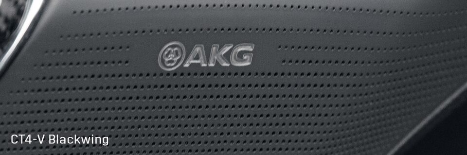 Cadillac Blackwing AKG Interior Speaker Close-Up