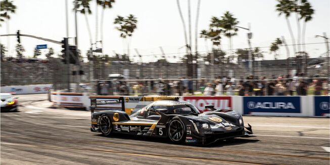 All IMSA Teams and Racecars