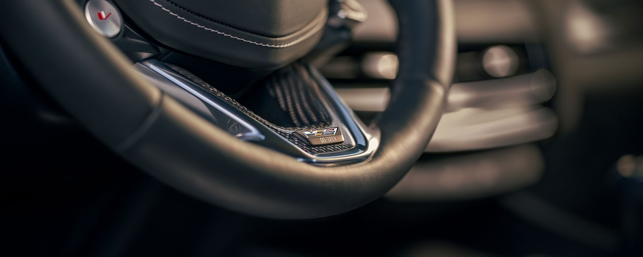 Close-up View of the V-Series Logo on the Steering Wheel