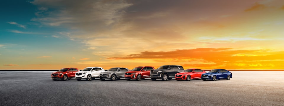 Cadillac Lineup Side Profile: Wide View